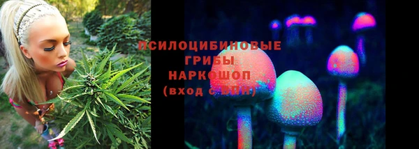 мяу мяу мука Алексеевка