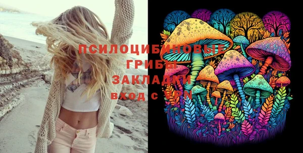 ПСИЛОЦИБИНОВЫЕ ГРИБЫ Алексин