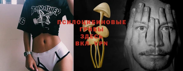 ПСИЛОЦИБИНОВЫЕ ГРИБЫ Алексин