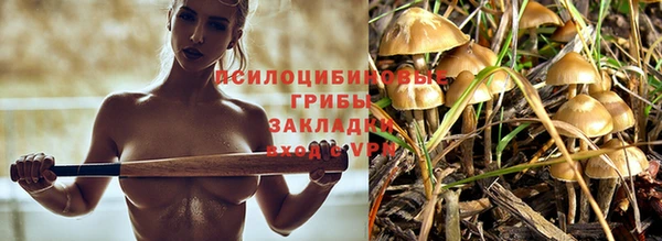 мяу мяу мука Алексеевка