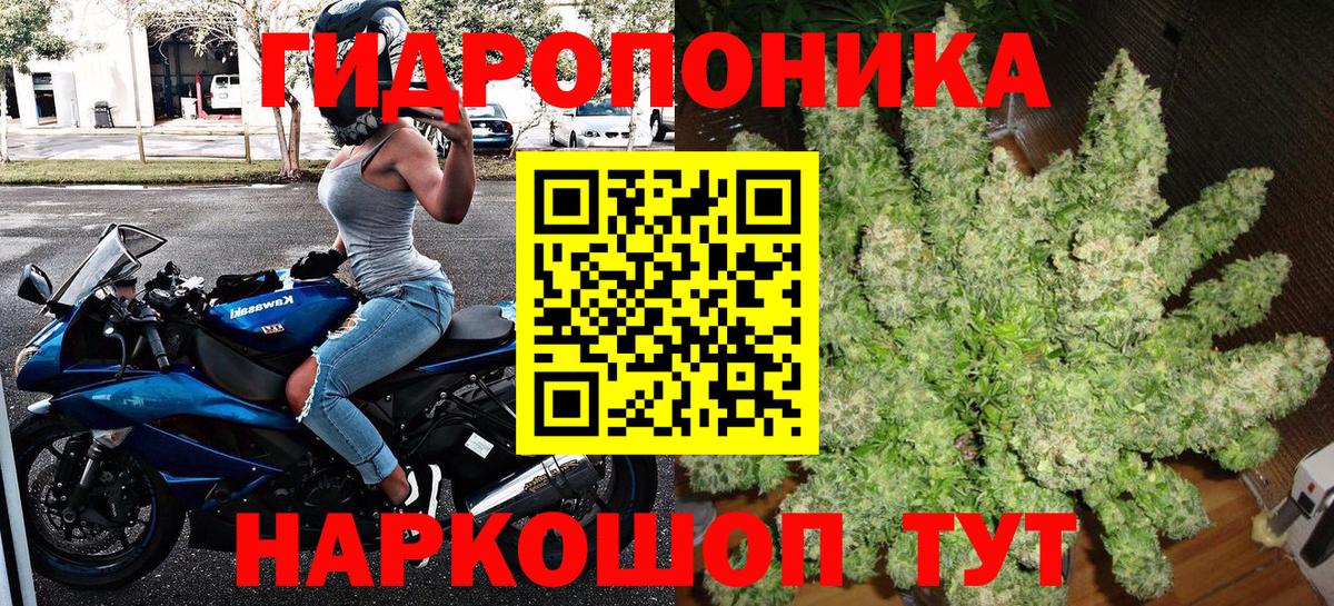 Бошки марихуана сатива Сочи